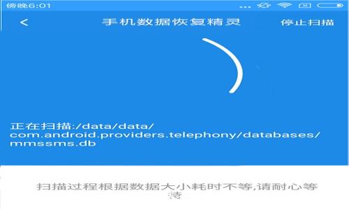 TP下载最新版本及安装指南
