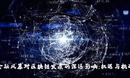 金融风暴对区块链发展的深远影响：机遇与挑战