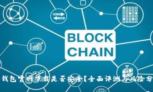TP钱包官网下载是否安全？全面评测与风险分析