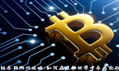 
区块链养狗游戏攻略：如何在虚拟世界中养成你的宠物