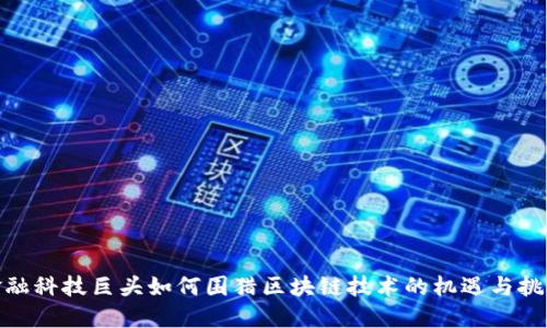 金融科技巨头如何围猎区块链技术的机遇与挑战