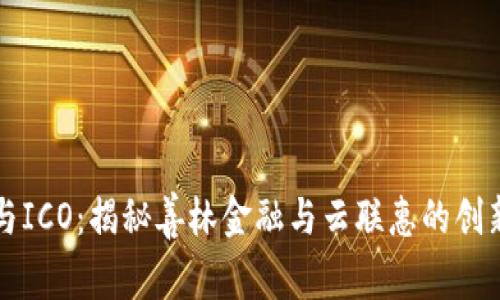 区块链与ICO：揭秘善林金融与云联惠的创新与挑战