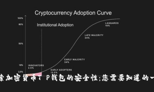 探索加密货币T P钱包的安全性：您需要知道的一切