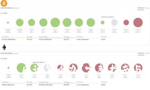 TP钱包升级后该怎么办？完整指南与解决方案
