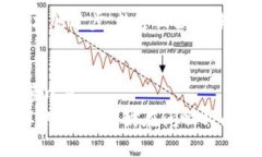 揭秘区块链猫：这款游戏如何颠覆数字收藏体验