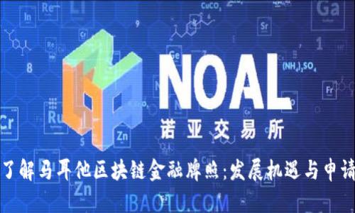 全面了解马耳他区块链金融牌照：发展机遇与申请流程