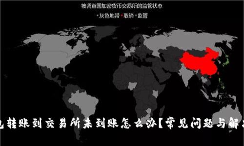 TP钱包转账到交易所未到账怎么办？常见问题与解决方案