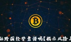 区块链金融跨国经营靠谱吗？揭示风险与应对策