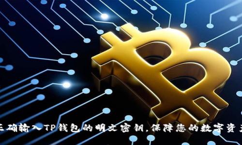 如何正确输入TP钱包的明文密钥，保障您的数字资产安全