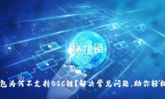 TP钱包为何不支持BSC链？解决常见问题，助你轻松