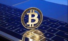 如何快速查看TP钱包交易所的交易记录与行情波动