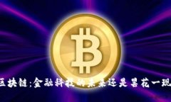 区块链：金融科技的未来还是昙花一现？