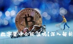 TP钱包中的数字货币会贬值吗？深入解析与投资策
