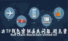 如何解决TP钱包密钥丢失问题，避免资产损失