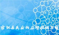 TP钱包密钥丢失后的应对措施与解决方案