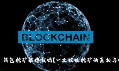 t P 钱包挖矿能挣钱吗？一文揭晓挖矿的真相与收