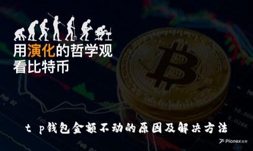 t p钱包金额不动的原因及解决方法