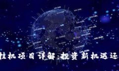 区块链游戏挂机项目详解：投资新机遇还是风险