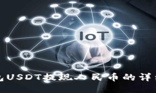 TP钱包USDT提现人民币的详细指南