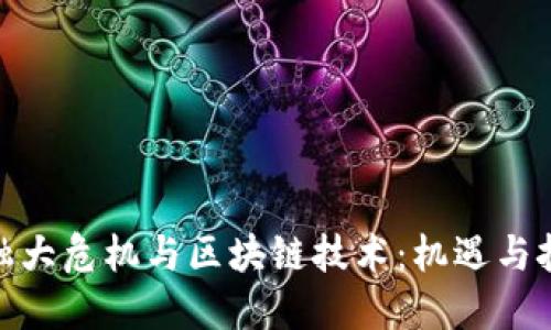 金融大危机与区块链技术:机遇与挑战