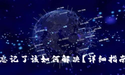 TP钱包密码忘记了该如何解决？详细指南与解决方案