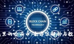 TP钱包里的哈西币：全方位解析与投资指南