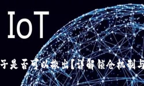 TP锁仓池子是否可以撤出?详解锁仓机制与操作指南